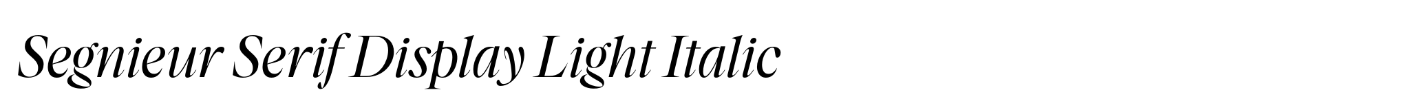 Segnieur Serif Display Light Italic image